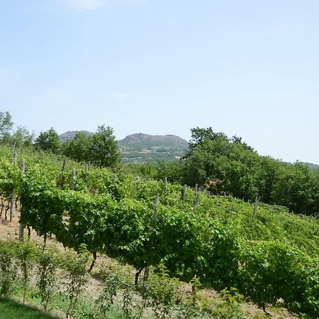 בוביו Agriturismo Ca' Del Sartu מראה חיצוני תמונה