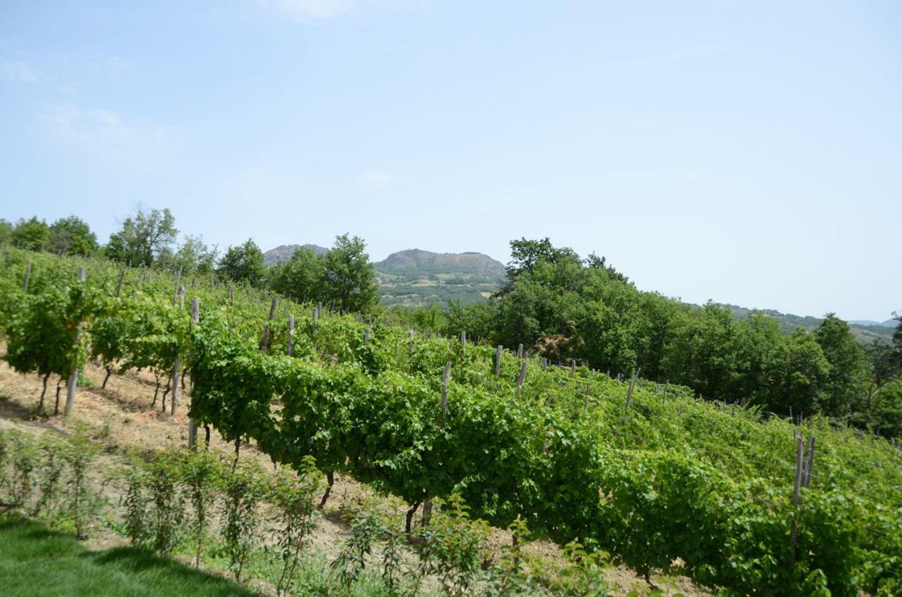 בוביו Agriturismo Ca' Del Sartu מראה חיצוני תמונה